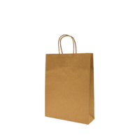 Castaway Paper Carry Bags with handles, Small 250/ctn