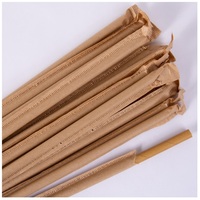 Wrapped Paper Straw 2000 - Kraft Brown paper drinking straw 200mm x 6mm. Wrapped in paper for an extra layer of hygiene
