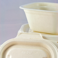Biodegradable 500ml Rectangle Container 500/ctn