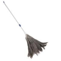 Feather Duster w/extens handle