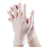 Glove Master Small Powderfree Vinyl Gloves 100pk