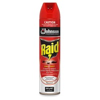 raid oneshot crawling insect surface spray odourless 450g