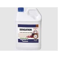 Oates Sensation Carpet Spotter 5L