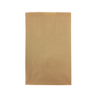Castaway Standard #8 Flat Paper Bags 500/bundle