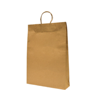 Castaway Paper Carry Bags with Handles, Large 250/ctn
