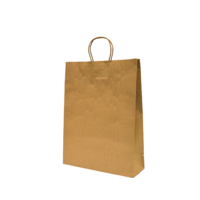 Castaway Paper Carry Bags with Handles, Medium 250/ctn