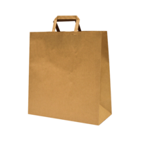 Castaway Paper Takeaway Bags with Flat Handles, Large 200/ctn