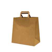 Castaway Paper Takeaway Bags with Flat Handles, Medium 200/ctn