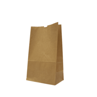 Castaway Standard #10 Self-Opening Satchel Paper Bags 250/ctn