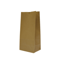 Castaway Standard #12 Self-Opening Satchel Paper Bags 250/ctn