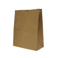 Castaway Standard #15 Self-Opening Satchel Paper Bags 250/ctn