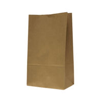 Castaway Standard #16 Self-Opening Satchel Paper Bags 250/ctn