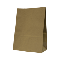 Castaway Standard #20 Self-Opening Satchel Paper Bags 250/ctn