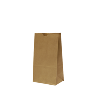 Castaway Standard #4 Self-Opening Satchel Paper Bags 500/ctn