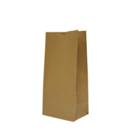 Castaway Standard #8 Self-Opening Satchel Paper Bags 500/ctn