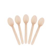 Castaway EnviroCutlery Wooden Spoons 1,000/ctn