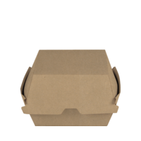 Castaway Brown Kraft Large Burger Clams 250/ctn