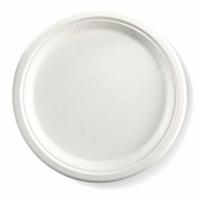 Sugarcane 10" Round Plates - 500 pc/ctn