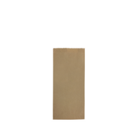 Castaway Standard #2 Satchel Paper Bags 500/bundle