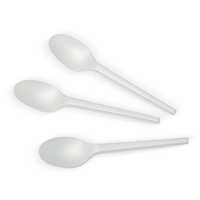 Greenmark CPLA Spoon 6.5'' 1000pc/ctn