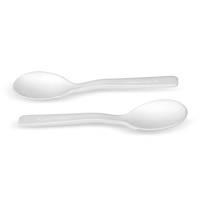 Greenmark CPLA Tea Spoon 5'' 2000pc/ctn