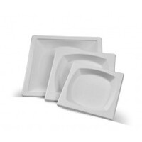 Greenmark Sugarcane 10" Square Plate - 600 pc/ctn
