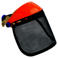 Pro Choice Striker Browguard With Visor Mesh