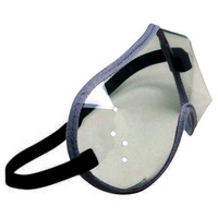 Pro Choice Disposable Jockey Goggle Clear 20/box