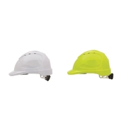 Pro Choice V9 Type 2 Hard Hat with Ratchet Harness