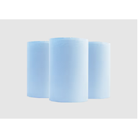 Blue Foodsafe Autoroll Paper Towels 2 ply x 6/ctn