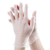 Glove Master Large Powderfree Vinyl Gloves 100pk