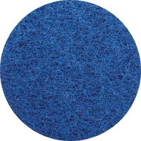 Glomesh Pad Regular 450mm - Blue