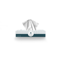 Regal 2ply Facial Tissues 100 sheets/pk x 48pk/CTN