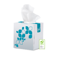 Livi Essentials Hypoallergenic Facial Tissues 2ply 90sheet 24/carton