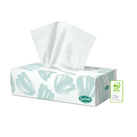 Sorbent Facial Tissues 2ply 100sheet 48/carton