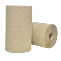Bamboo Kitchen Towel Roll 2ply 160sheet 23 x 23cm 8/ctn