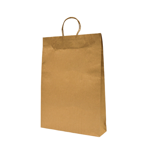 Castaway Paper Carry Bags with Handles, Large 250/ctn