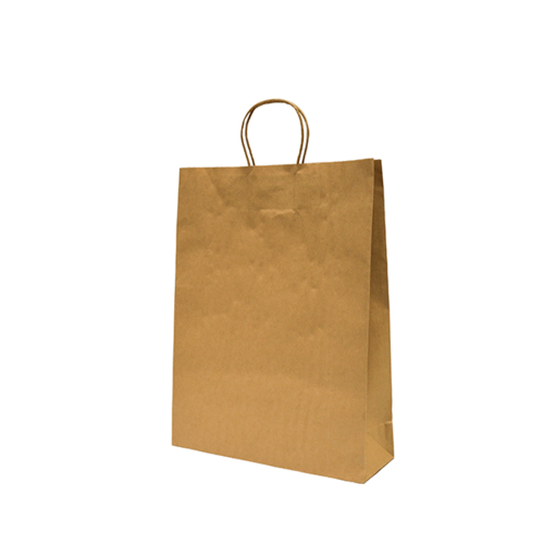 Castaway Paper Carry Bags with Handles, Medium 250/ctn