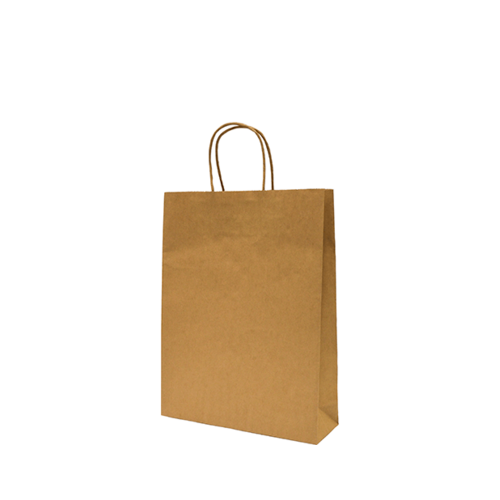 Castaway Paper Carry Bags with handles, Small 250/ctn