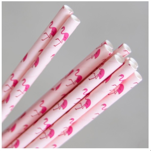 Regular Paper Drinking Straws - Flamingo 2500/ctn