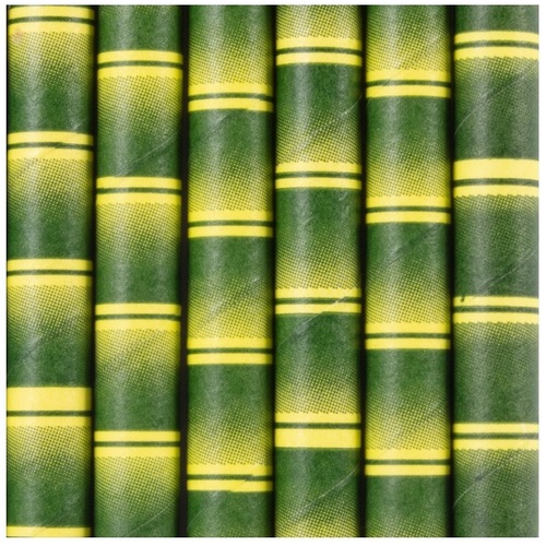 Paper Jumbo Straws - Bamboo Print 2500/ctn