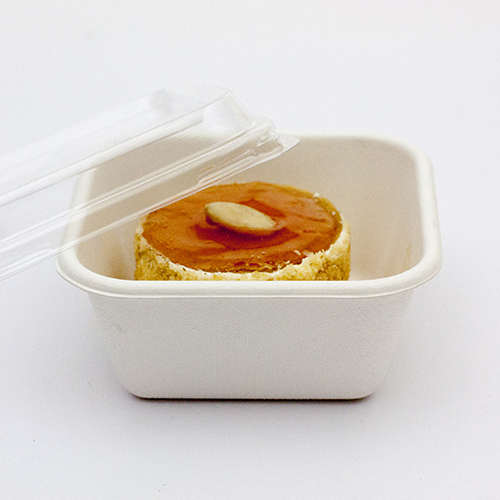 250ml Biodegradable & Compostable Containers with Clear Lids 500/ctn