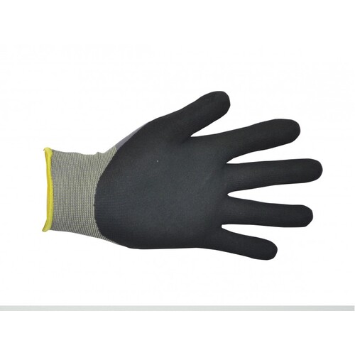 Proval NPG1 Glove XL 10pk