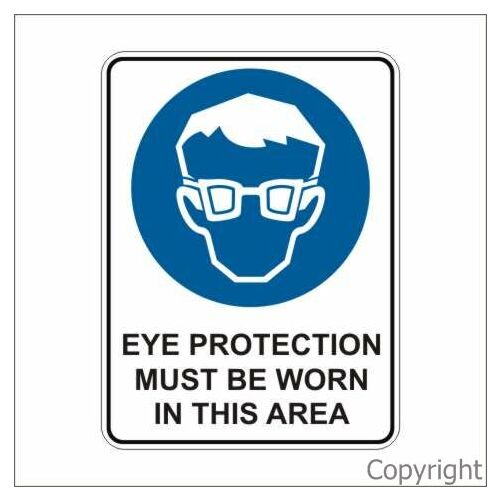 Must Wear Eye Protection in Area Sign
